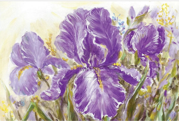 Painted Iris