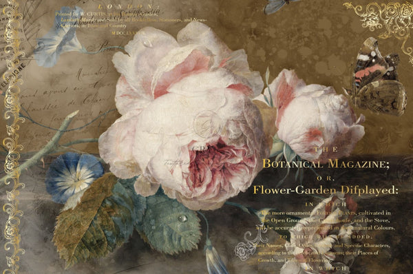 Botanical Magazine