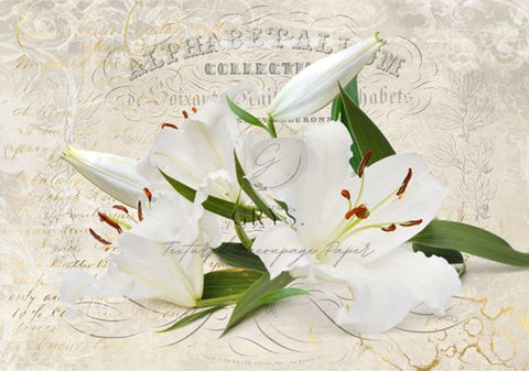 White Lillies