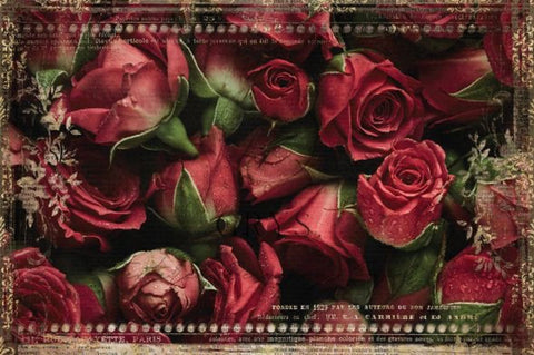 Red Roses